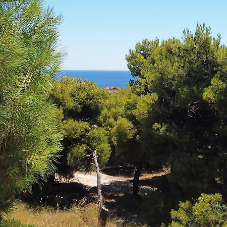 Fistiki Rooms Agia Marina (Aegina) Exterior foto