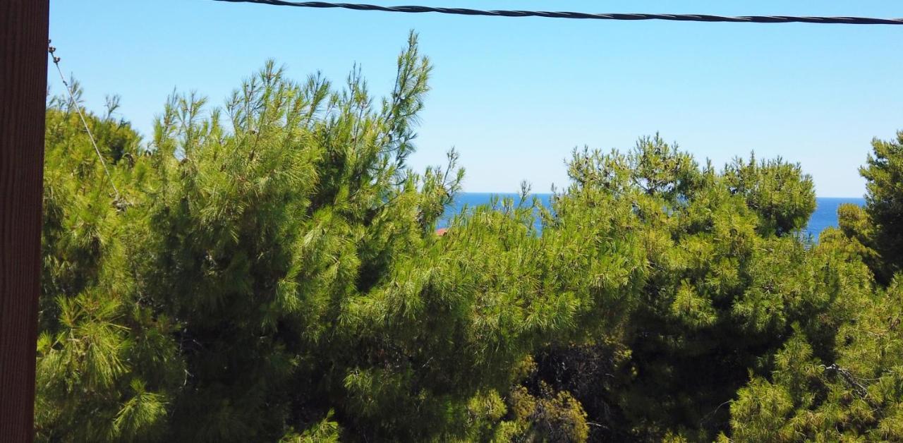 Fistiki Rooms Agia Marina (Aegina) Exterior foto