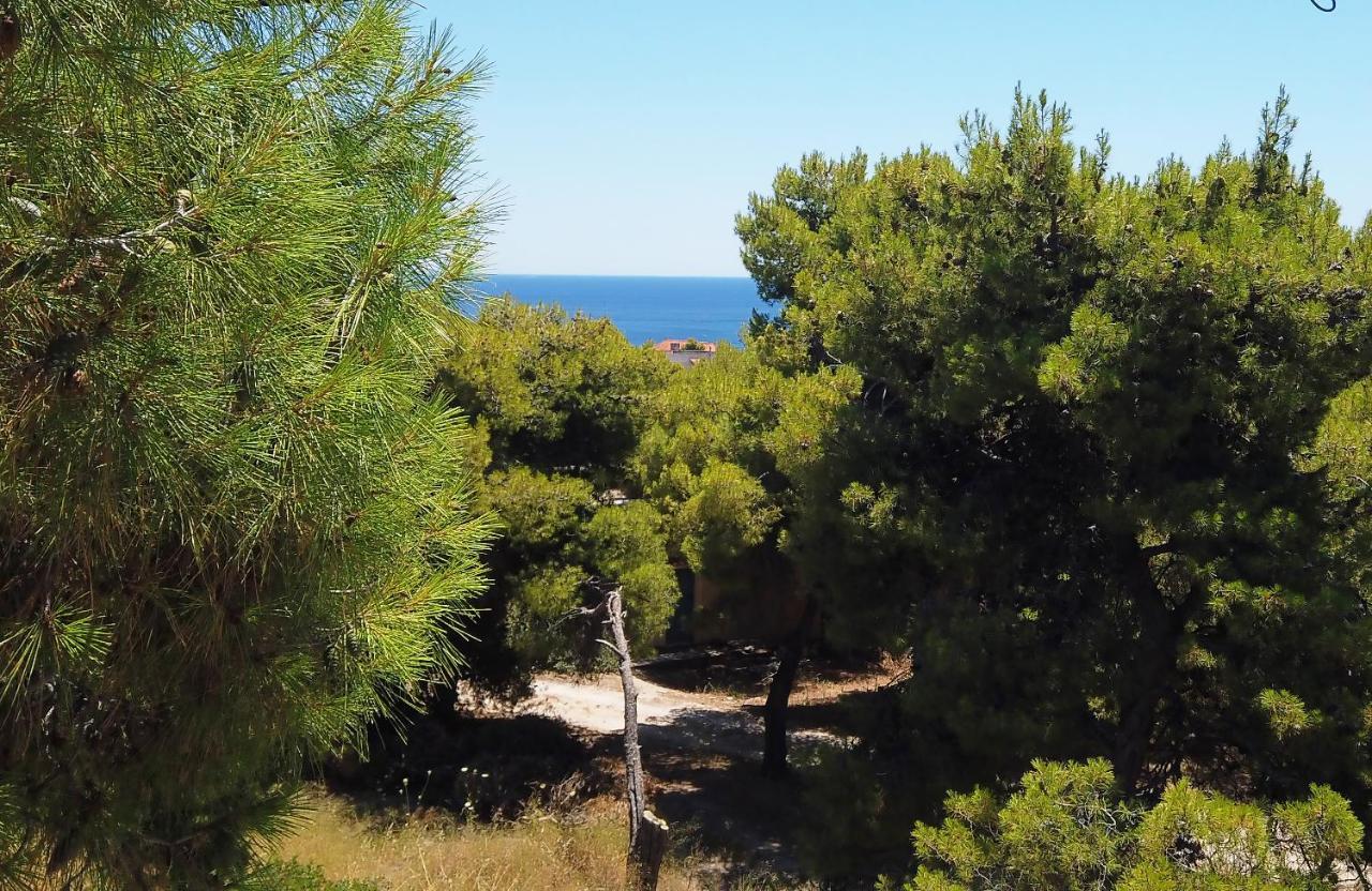 Fistiki Rooms Agia Marina (Aegina) Exterior foto