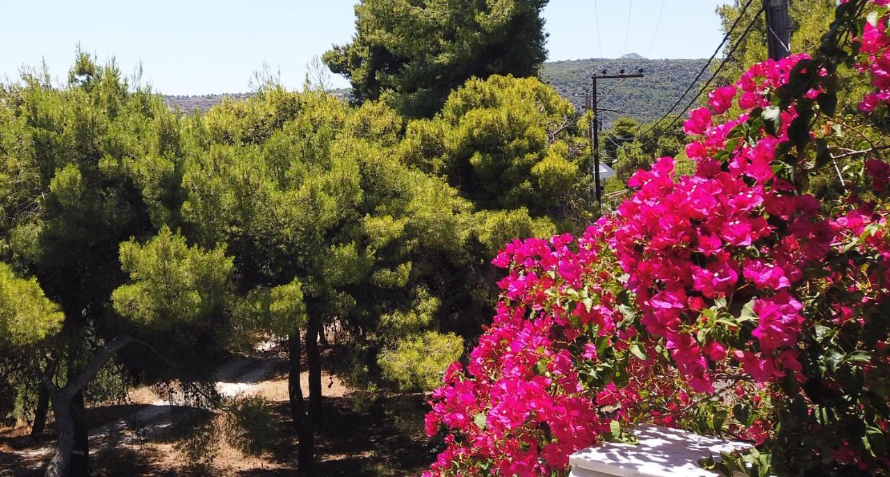 Fistiki Rooms Agia Marina (Aegina) Exterior foto